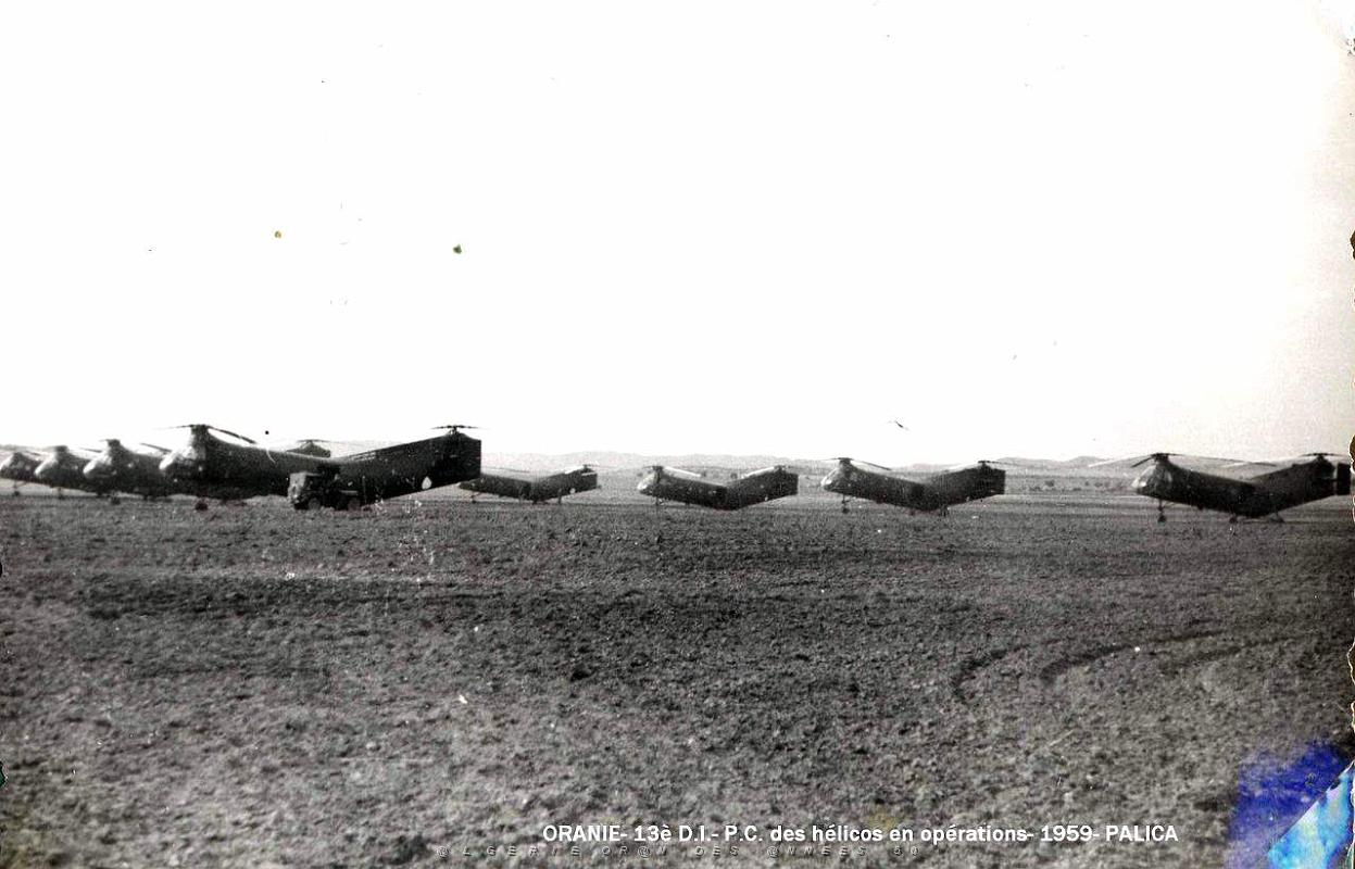 Palica - Divers 049.JPG